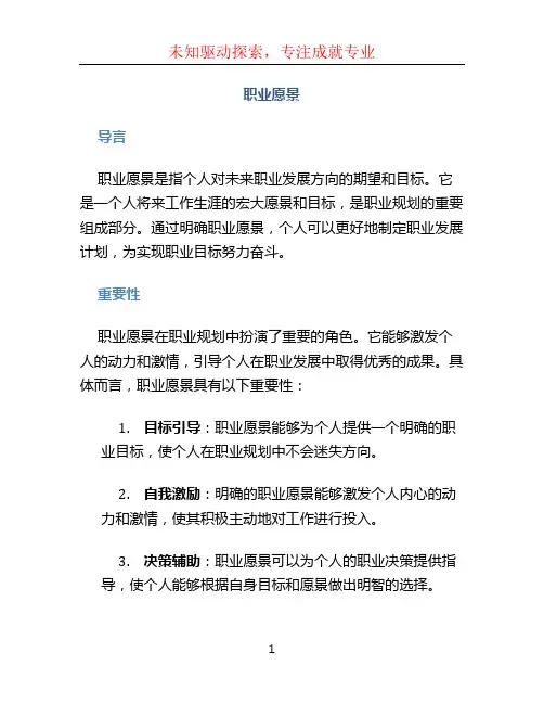 职业愿景文档