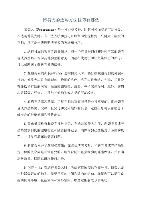 博美犬的选购方法技巧有哪些