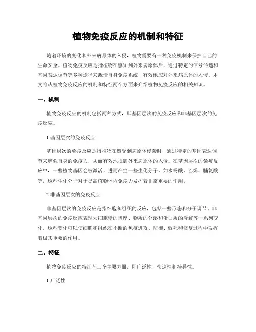 植物免疫反应的机制和特征