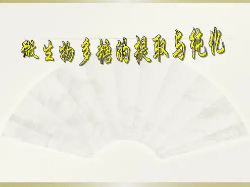 微生物多糖提取与纯化.ppt