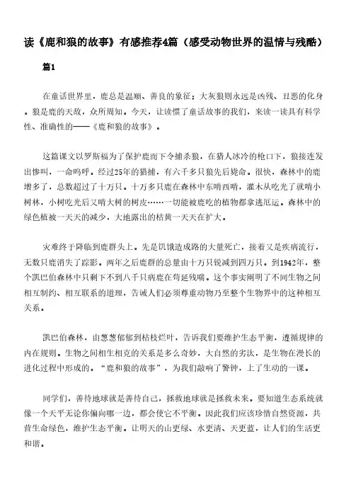 读《鹿和狼的故事》有感推荐4篇(感受动物世界的温情与残酷)