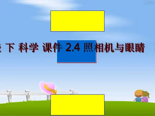 最新中学 八年级 下 科学 课件 2.4 照相机与眼睛   视力的矫正PPT课件