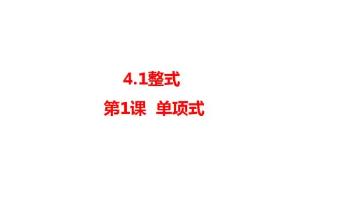 4.1整式课件人教版数学七年级上册