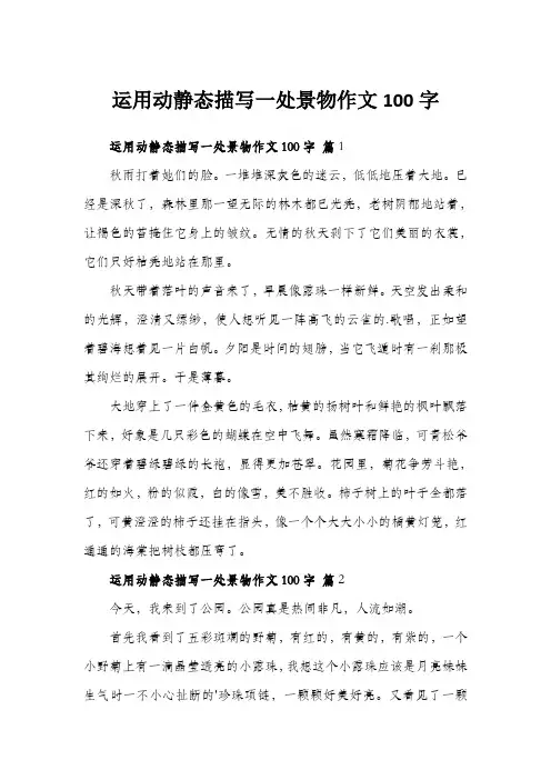 运用动静态描写一处景物作文100字