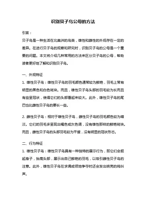 识别贝子鸟公母的方法