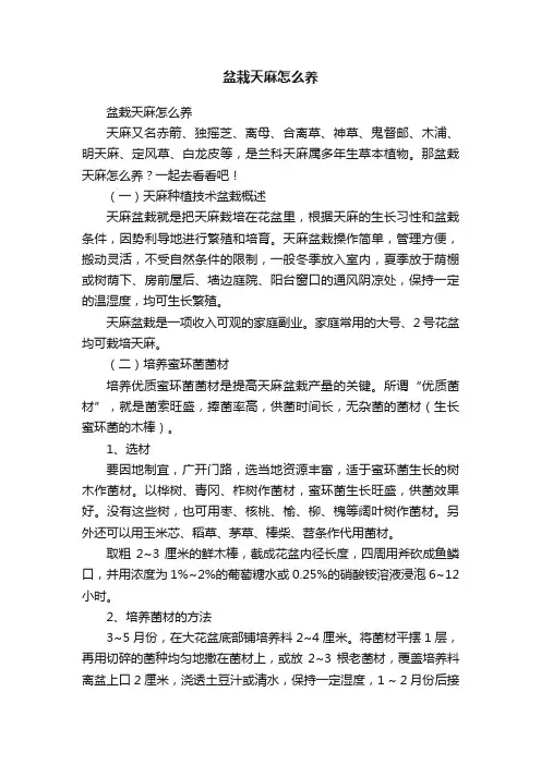盆栽天麻怎么养