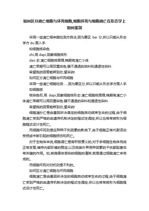 如何区分凋亡细胞与坏死细胞,细胞坏死与细胞凋亡在形态学上如何鉴别