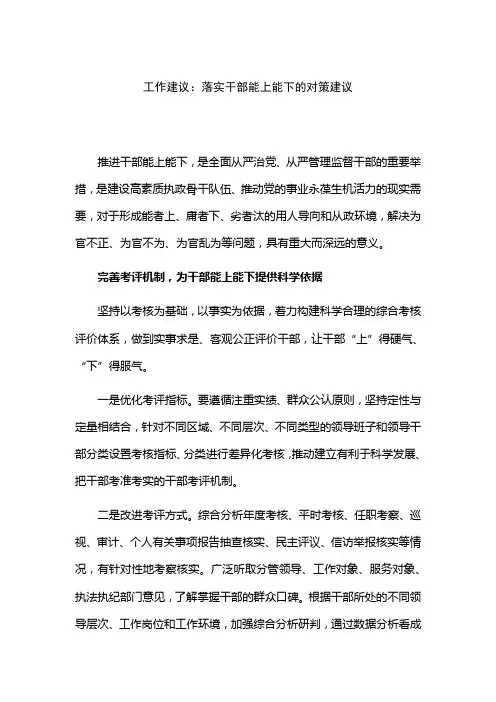 工作建议：落实干部能上能下的对策建议