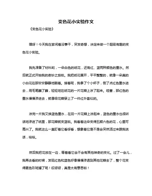 变色花小实验作文