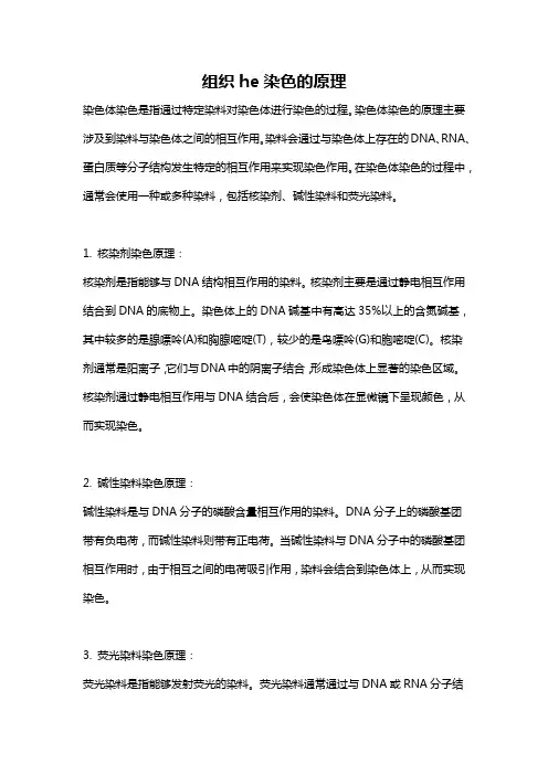 组织he染色的原理
