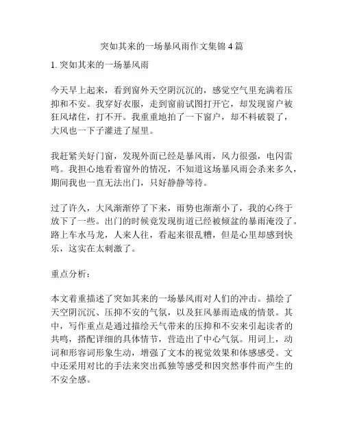突如其来的一场暴风雨作文集锦4篇