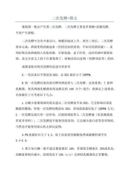 二次发酵-图文