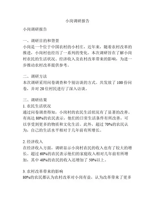 小岗调研报告