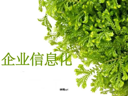 企业信息化联想案例分析