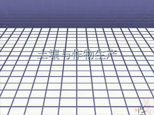 土壤与作物生产ppt-课件