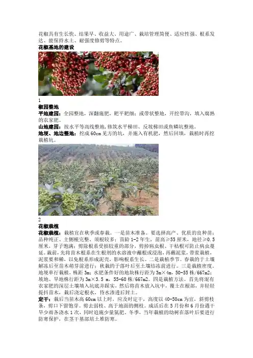 花椒的高产栽培管理技术措施