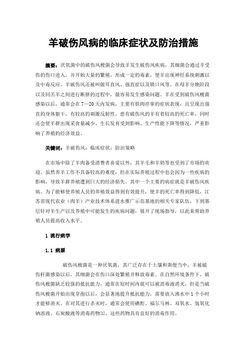 羊破伤风病的临床症状及防治措施