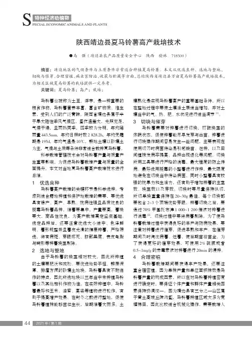 陕西靖边县夏马铃薯高产栽培技术