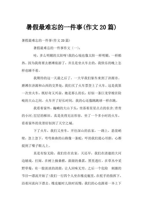 暑假最难忘的一件事(作文20篇)