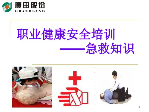 职业健康安全培训急救知识