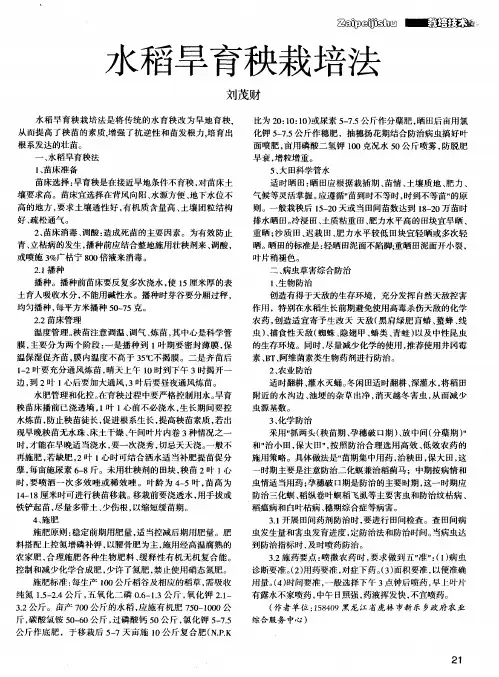 水稻旱育秧栽培法