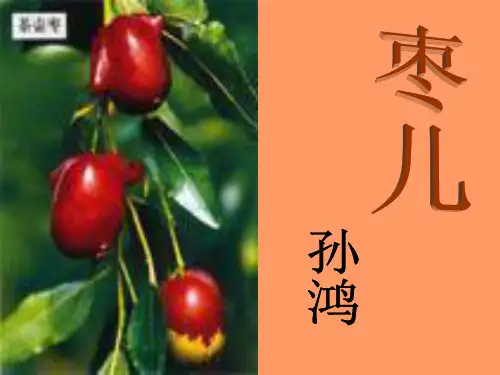 《枣儿》ppt课件