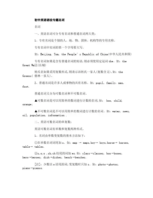 初中英语语法专题名词与动词