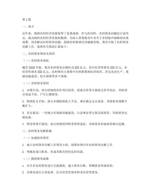 农村债务化解汇报(3篇)
