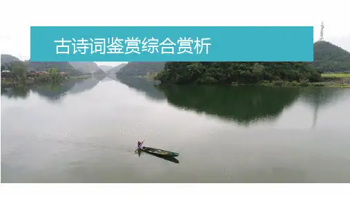 古诗词鉴赏专题复习ppt演讲教学