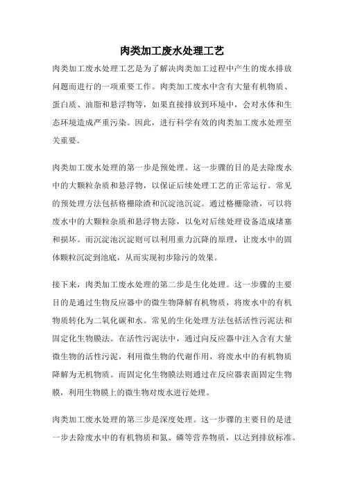 肉类加工废水处理工艺