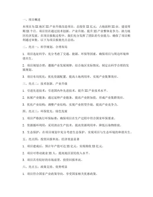 项目报批亮点总结范文