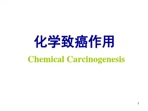 5章3-化学致癌作用