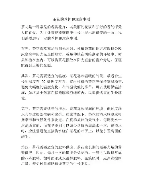 茶花的养护和注意事项
