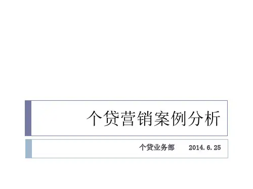 个贷营销案例分析20140625(ppt文档)