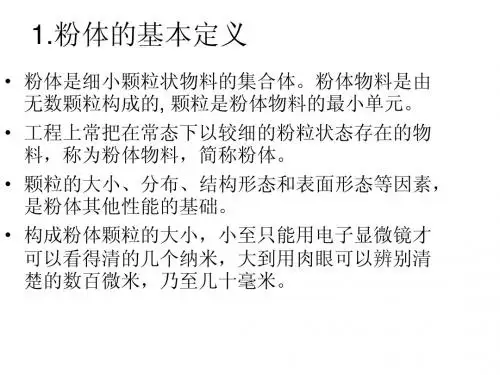 粉体技术1 1