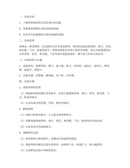 观察鸡卵实验报告