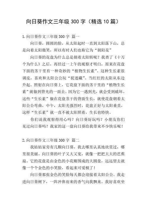 向日葵作文三年级300字(精选10篇)