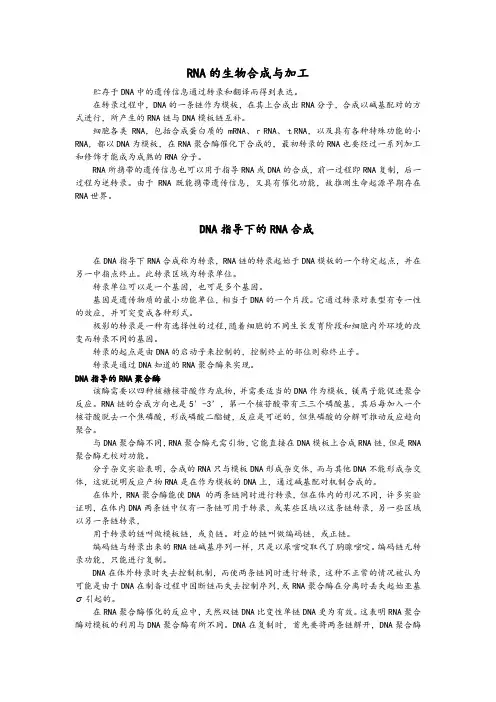 生物化学11 RNA的生物合成与加工