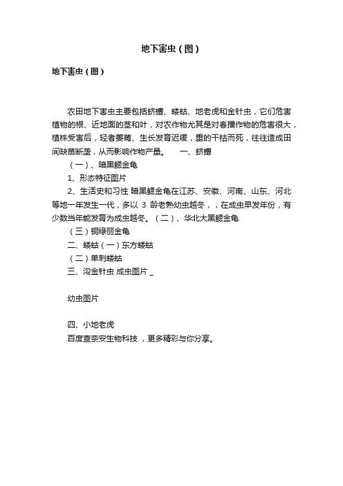 地下害虫（图）
