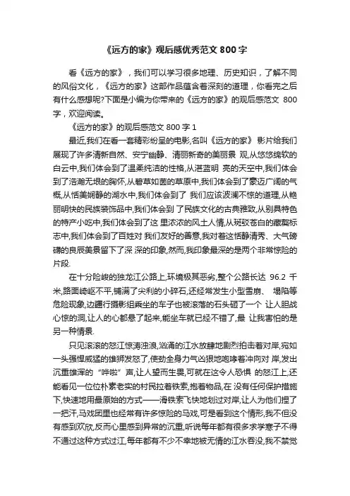 《远方的家》观后感优秀范文800字