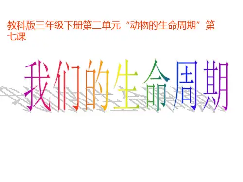 教科版《我们的生命周期》优秀PPT推荐1
