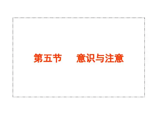 意识与注意 心理咨询师培训课件