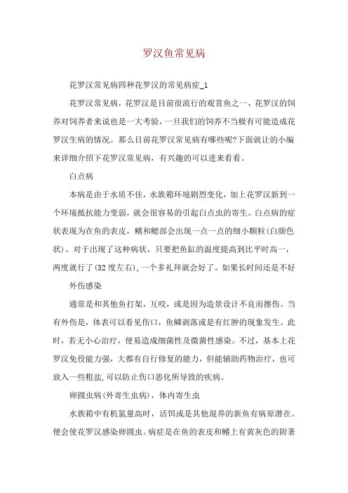 罗汉鱼常见病