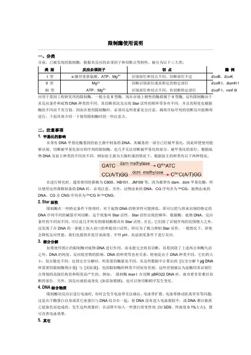 限制性内切酶的说明