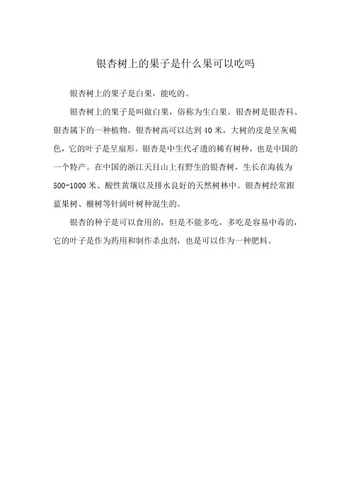 银杏树上的果子是什么果可以吃吗