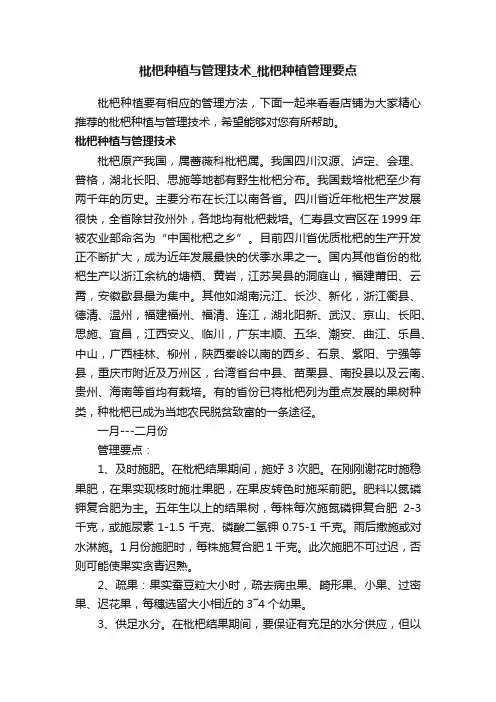 枇杷种植与管理技术_枇杷种植管理要点
