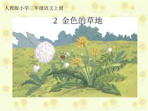 部编版小学三年级语文上册20《美丽的小兴安岭》