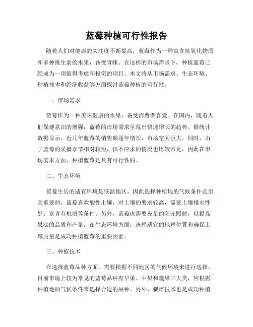 蓝莓种植可行性报告