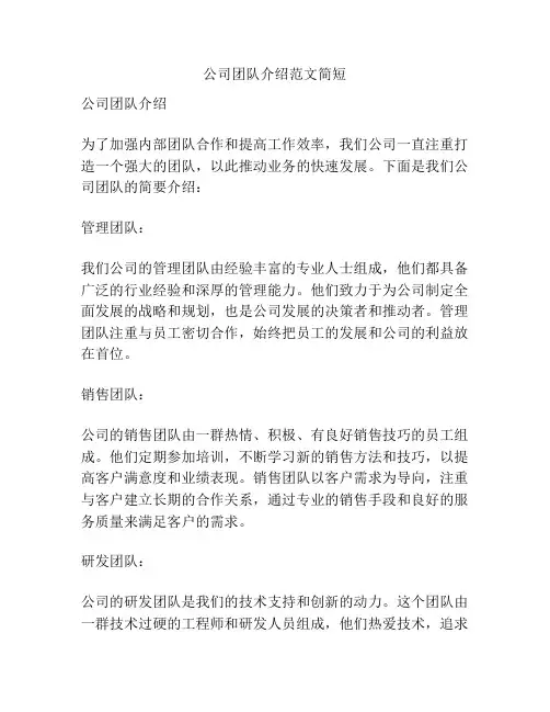 公司团队介绍范文简短