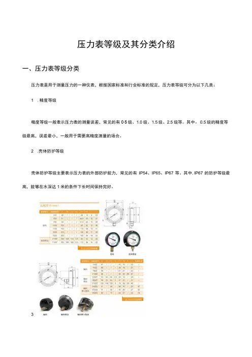 (优质)压力表等级及其分类介绍